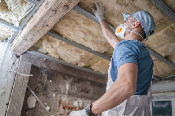 Insulation Replacement Services in Woodstock, AL