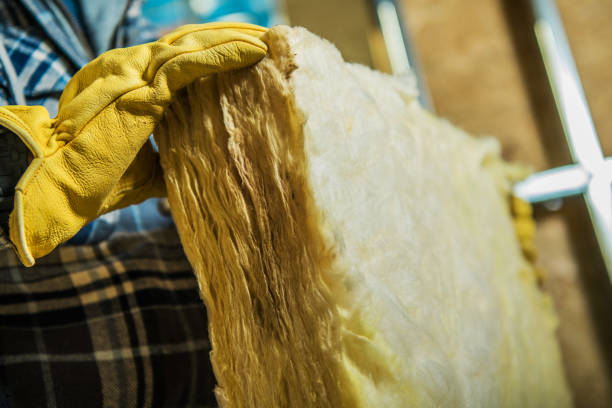 Best Blown-in Insulation  in Woodstock, AL