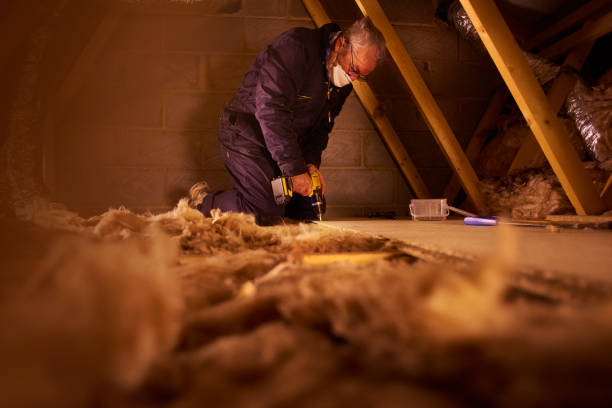 Garage Insulation Installation in Woodstock, AL
